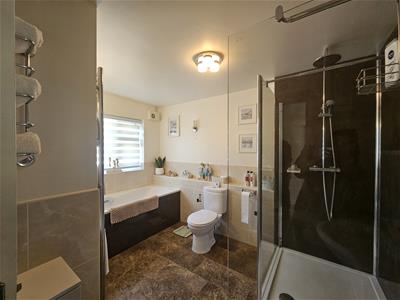 Picture 23